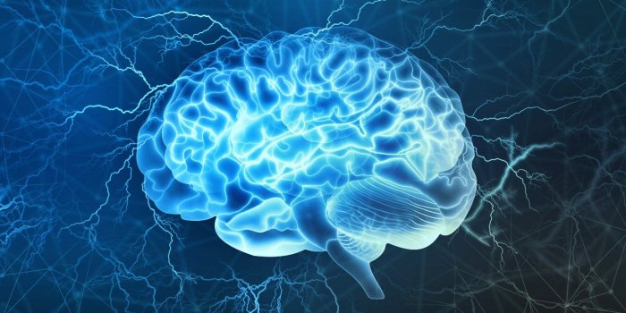 Cerveau : 14 aliments qui nuisent a la memoire