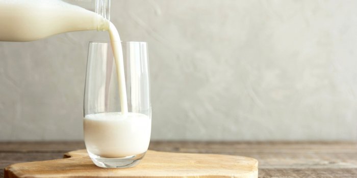 Penurie de lait : 5 alternatives vegetales au lait de vache
