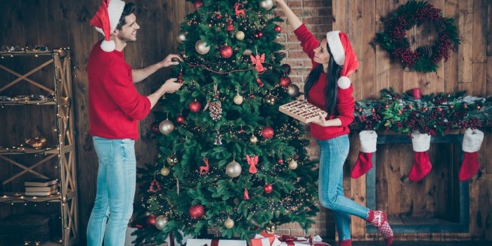 Champignons, insectes, parasites… Ce que cache vraiment votre sapin de Noel