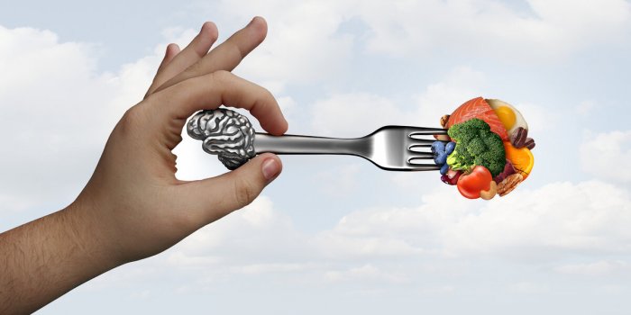 9 aliments pour prendre soin de son cerveau apres 50 ans