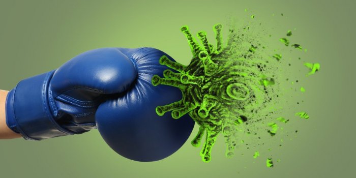 Systeme immunitaire : 5 manieres d-en prendre soin