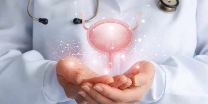 Cancer de la prostate : 5 habitudes pour prevenir la maladie