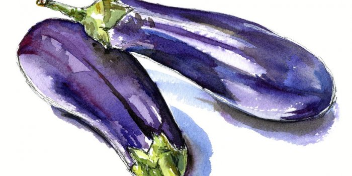 Nutrition : 10 bons glucides qui ne font pas grossir 