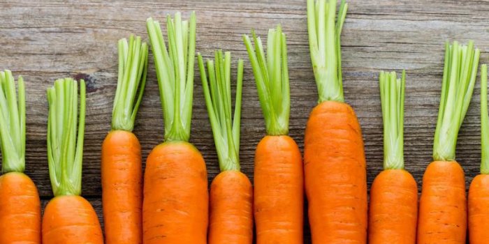5 aliments qu-il vaut mieux ne pas faire cuire dans l-eau