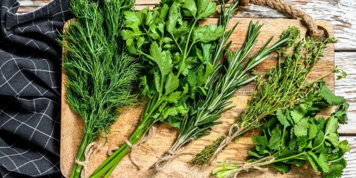 Ces 8 herbes aromatiques sont a privilegier en ete !
