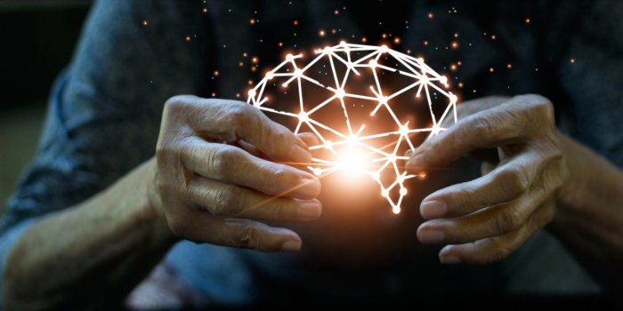 Alzheimer : la vitamine K ralentirait le declin cognitif