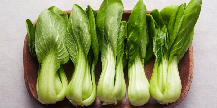 Pak choi : les atouts sante du chou chinois et recettes pour en profiter