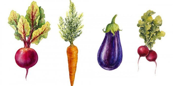 Alzheimer : 7 habitudes saines pour eviter la maladie si vous etes a risque