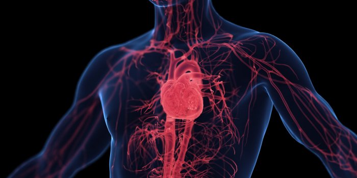 5 signes d’une mauvaise circulation sanguine selon un chirurgien