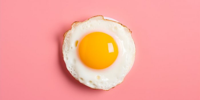 Proteines : comment augmenter son apport alimentaire facilement
