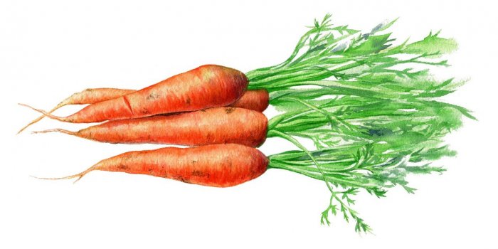 11 aliments qui feront chuter vos triglycerides
