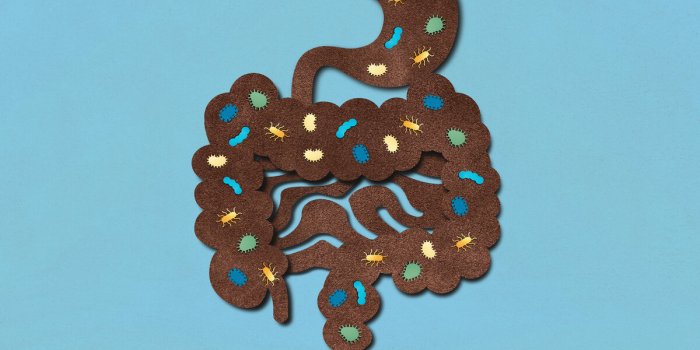 Cancer colorectal : le top 8 des aliments pour un colon en bonne sante