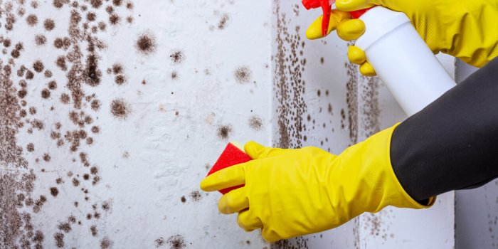 7 astuces d-une association pour prevenir la pollution interieure