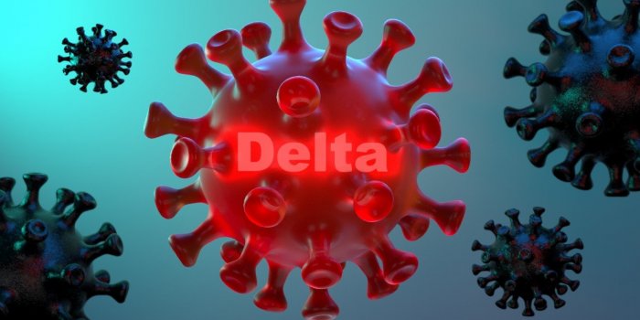 Covid : le variant Delta a presque disparu dans certains departements