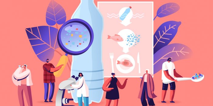 L’invasion des microplastiques dans nos organes