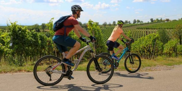 Prairies, vignes, forets, les sols francais les plus touchees par les microplastiques 
