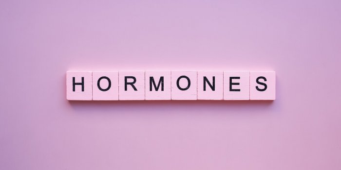 Hormones : 5 habitudes alimentaires pour maintenir l’equilibre