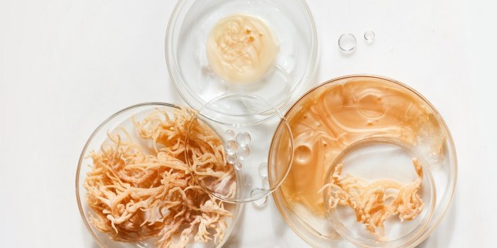 C-est quoi la mousse de mer que l-on voit partout et quels sont vraiment ses bienfaits ?