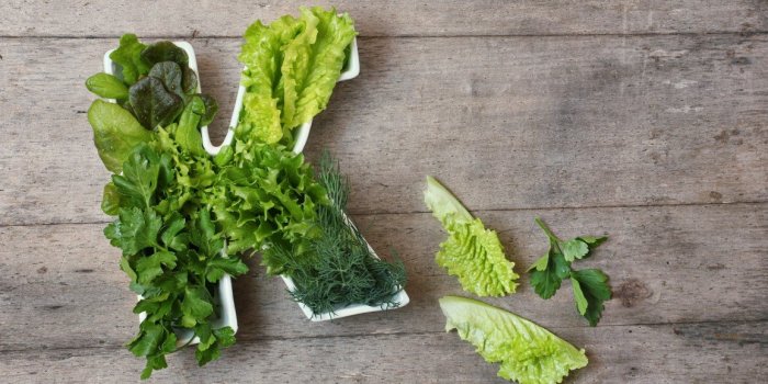 15 aliments pour faire le plein de vitamine K