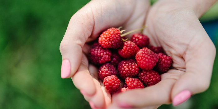 Framboises : de petites baies gorgees de bienfaits