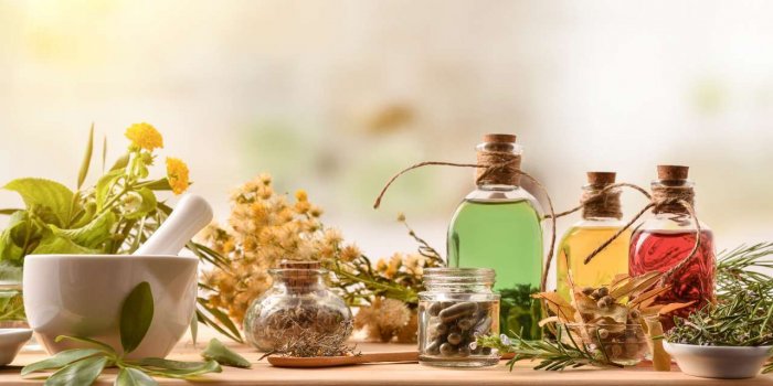 Insecticides : 5 plantes qui font les meilleurs repulsifs naturels
