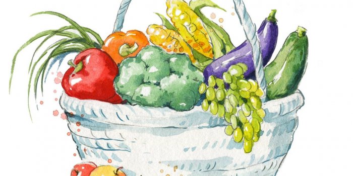 Alimentation : 9 regles pour eviter les caillots sanguins dans le cerveau