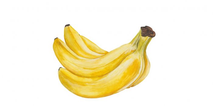Les aliments riches en potassium reduisent vos risques de maladie cardiaque de 18%
