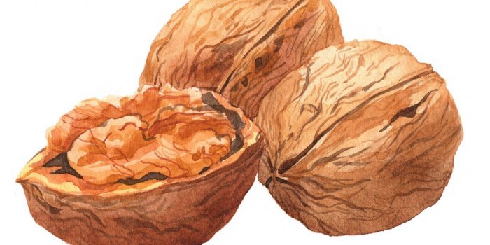 Mort precoce : misez sur les acides gras conseille une etude 