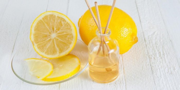 6 purifiants d-interieur naturels