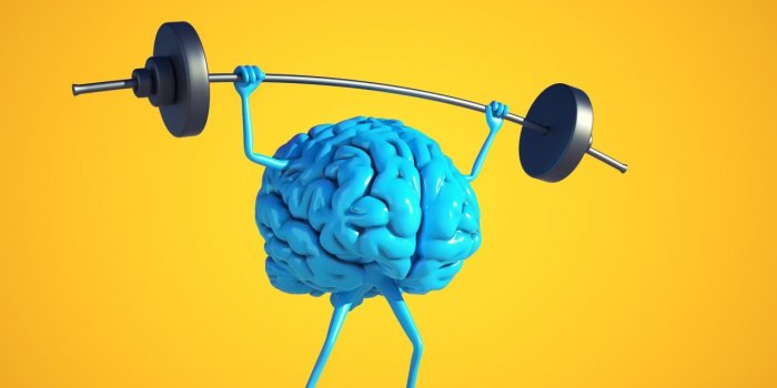 Cerveau : 5 erreurs a ne pas commettre pour le garder en bonne sante