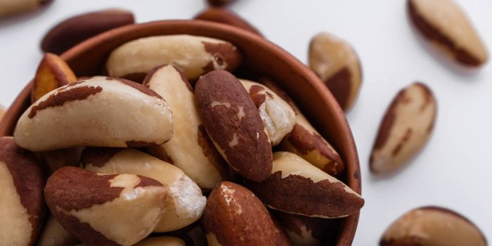 Declin cognitif : proteger son cerveau avec 10 aliments riches en selenium