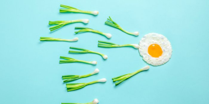 8 aliments qui boostent la fertilite