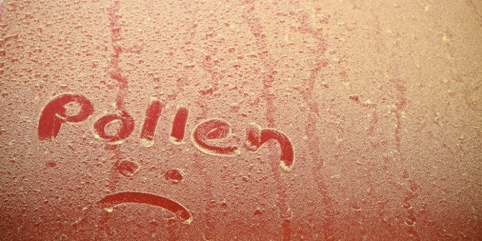 Allergie aux pollens : 20 departements en alerte rouge