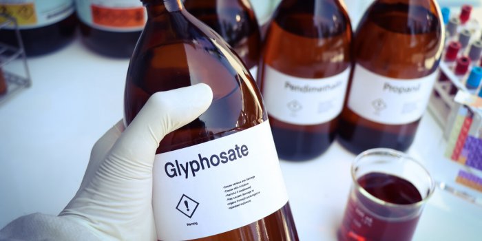 Glyphosate : 14 tumeurs detectees, la science alerte sur les dangers pour la sante de cet herbicide