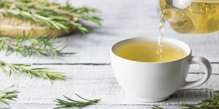 Romarin : voici 7 bienfaits de cette herbe aromatique