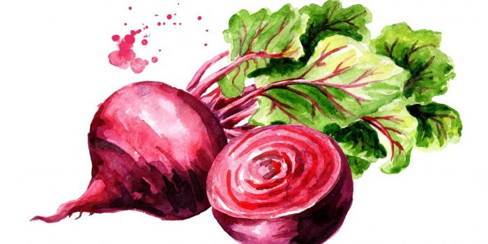 11 aliments pour nettoyer votre foie