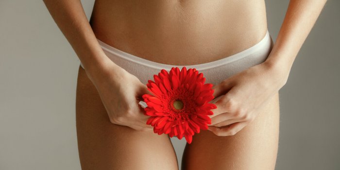 7 tisanes de la phytotherapeute a degainer en cas de desagrements lies au cycle