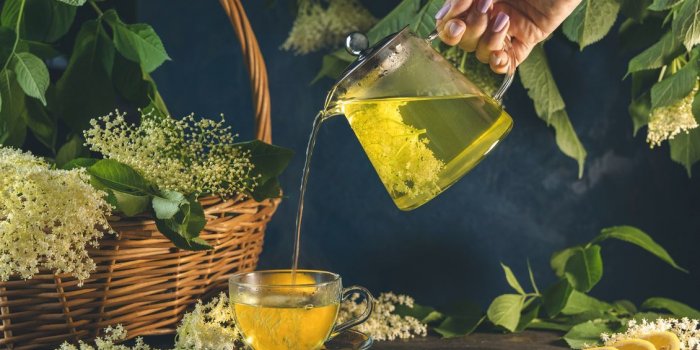 Menopause : les 5 plantes qui peuvent vous aider a mieux la vivre