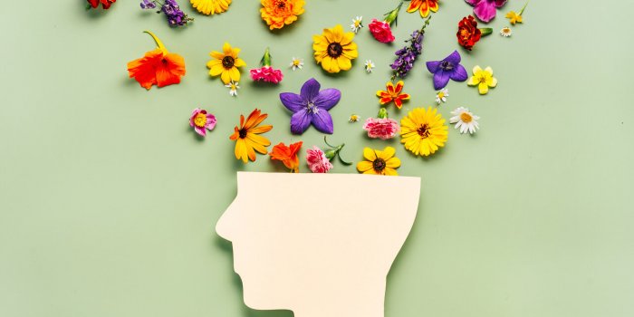 Brouillard cerebral : 5 choses a ne pas faire pour un cerveau en bonne sante