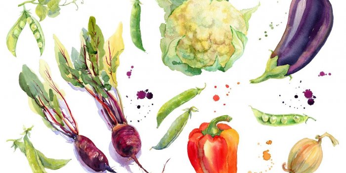Regime : ces 5 aliments a base de plantes augmenteraient la longevite 