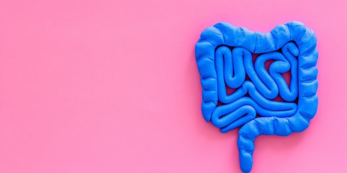 Digestion : 9 conseils pour un bon transit pendant les fetes