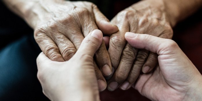 Alzheimer : un regime riche en flavonoides baisse le risque de declin cognitif