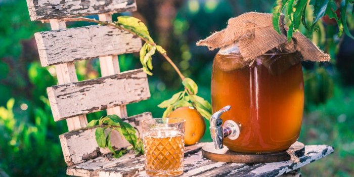 Kombucha : 7 bienfaits de cette boisson riche en probiotiques