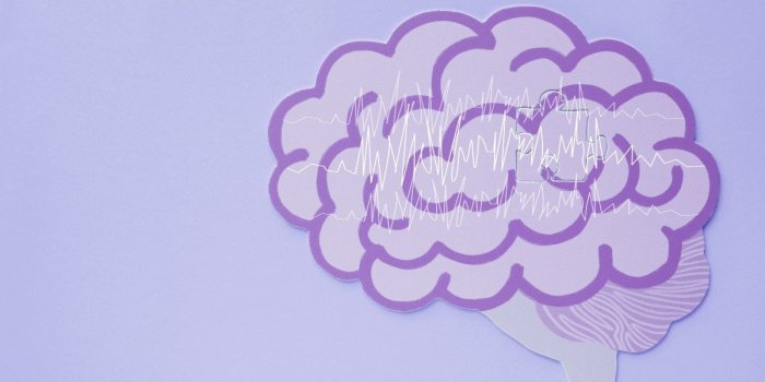 Alzheimer : les 6 erreurs a ne plus faire pour eviter la maladie