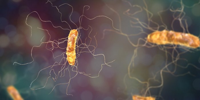 Infection nosocomiale : les surfaces les plus contaminantes a l-hopital 