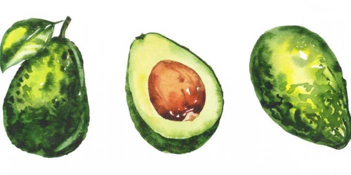 Regime : 8 aliments pour accelerer le metabolisme selon le Dr Michael Mosley