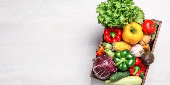 Intestin : 5 aliments qui generent des postbiotiques essentiels a la sante 