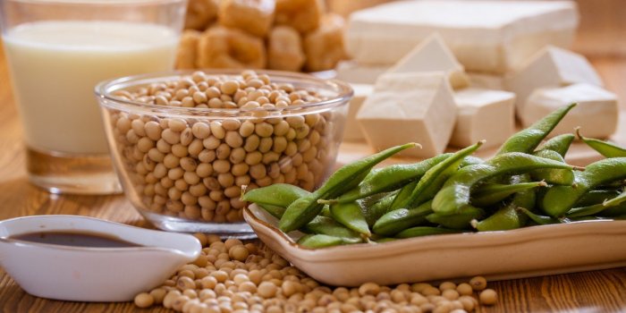 Alimentation : 5 effets positifs que le soja peut avoir sur votre corps