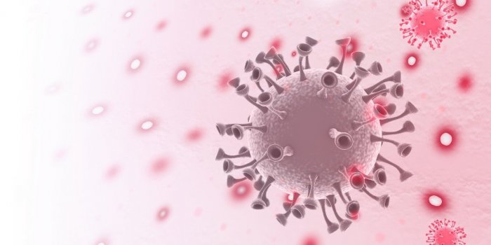 Variole du singe : 6 symptomes qu-on peut confondre avec la Covid