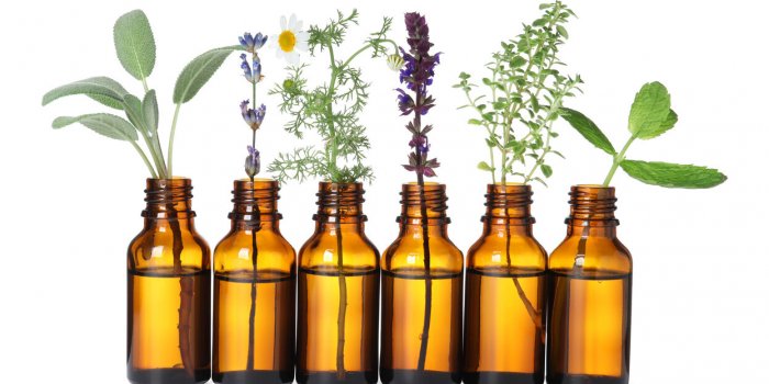 Les 10 huiles essentielles pour soutenir l-immunite en hiver !